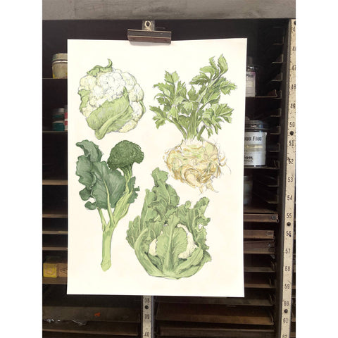 RFM-505 Winter Vegetables