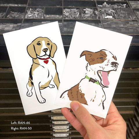 RAN-46 Beagle with Heart Collar