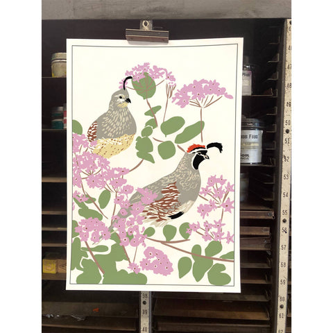 RBI-198 Gambels Quail and Sand Verbena