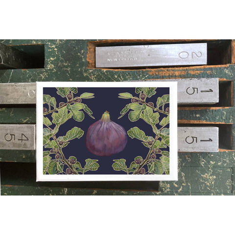 RFM-431 Fig Tree