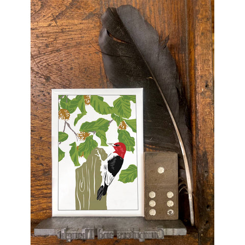 RBI-205 Red-headed Woodpecker