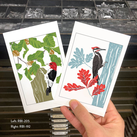 RBI-192 Pileated Woodpecker and Oak