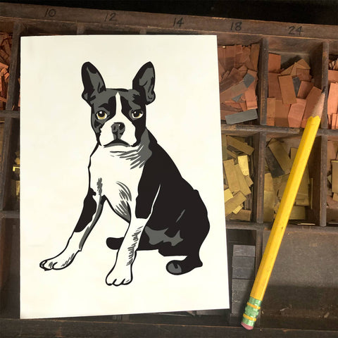 RAN-49 Boston Terrier 1