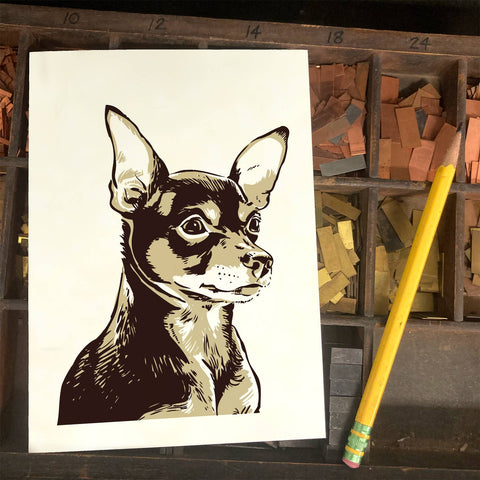 RAN-52 Chihuahua, Brown and Black