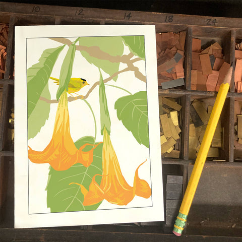 RBI-9133 Angels Trumpet and Wilsons Warbler