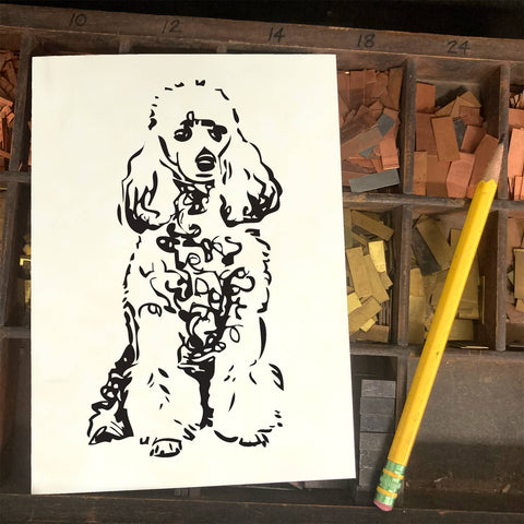 RAN-69 Poodle, White