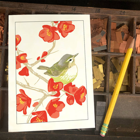 RBI-9139 Flowering Quince Warbling Vireo