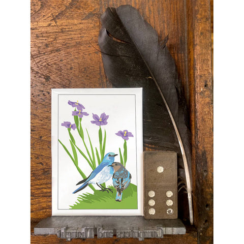 RBI-111 Bluebirds & Blue-Eyed Grass