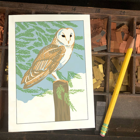 RBI-102 Barn Owl in Redwood