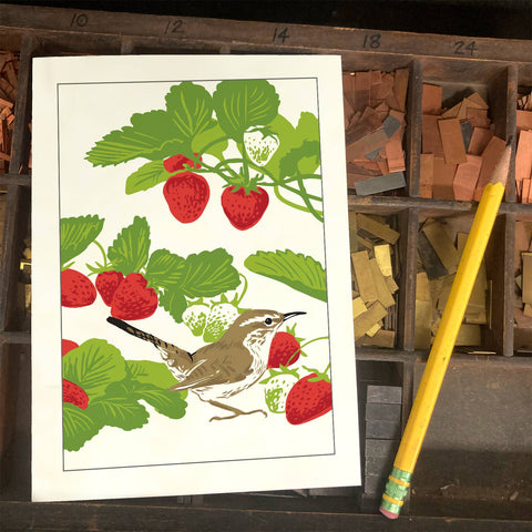 RBI-220 Bewick's Wren & Strawberry