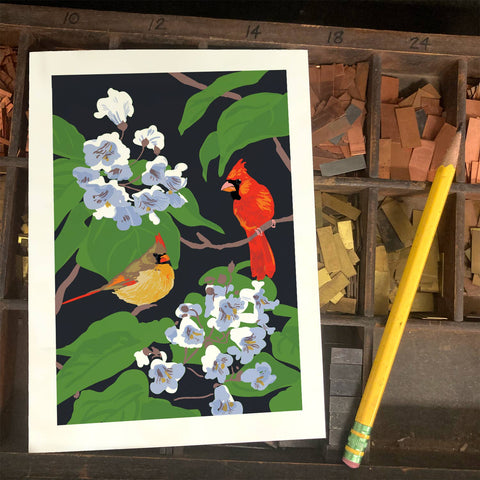 RBI-201 Catalpa & Cardinal