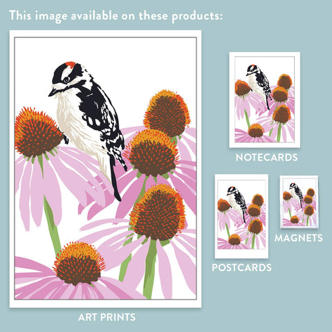 RBI-219 Downy Woodpecker & Coneflower