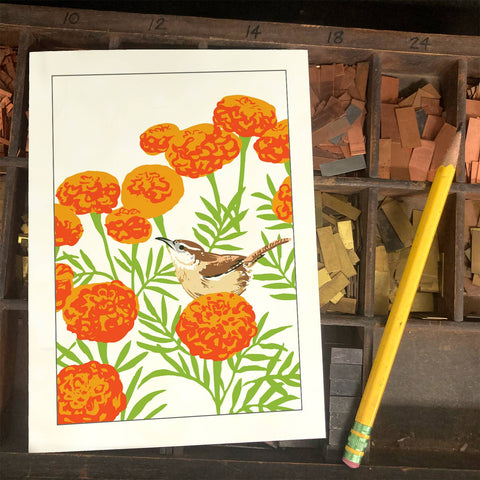 RBI-143 Carolina Wren & Marigolds
