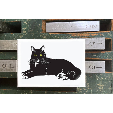 RAN-28 Black Cat Lying Down