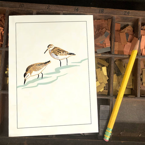 RBI-106 Sandpipers