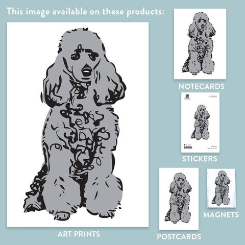RAN-68 Poodle, Grey