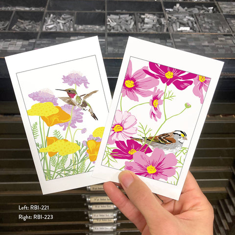 RBI-223 White-Throated Sparrow & Cosmos