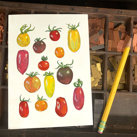 RFM-509 Cherry Tomatoes