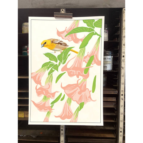 RBI-210 Oriole & Brugmansia