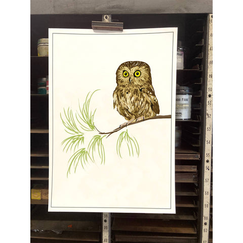 RBI-30 Saw-Whet Owl