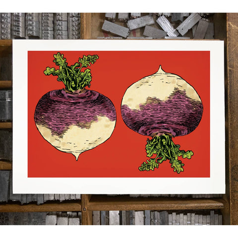 RFM-409 Turnips