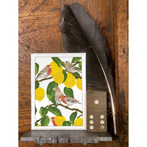 RBI-224 House Finches & Lemons
