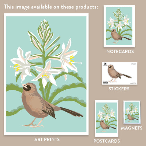 RBI-9149 Aberts Towhee and Desert Lily