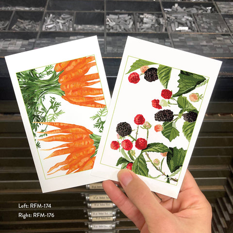 RFM-174 Carrots