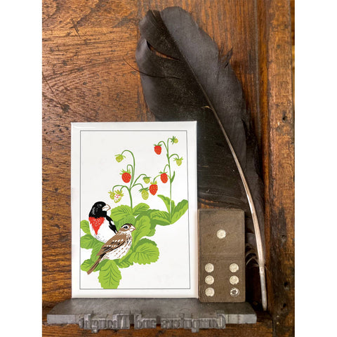 RBI-113 Rose Breasted Grosbeaks & Strawberries
