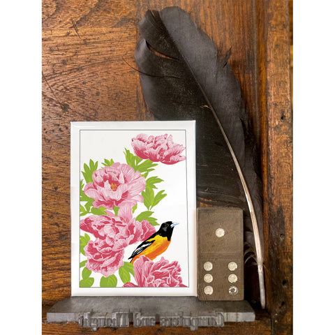 RBI-212 Peonies & Baltimore Oriole