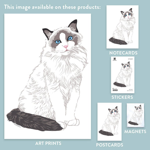 RAN-39 Ragdoll Cat