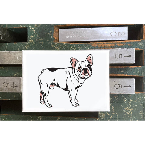 RAN-34 French Bulldog