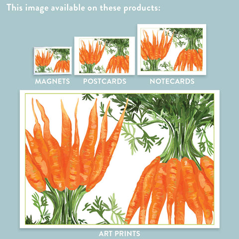 RFM-174 Carrots