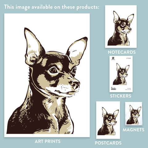 RAN-52 Chihuahua, Brown and Black