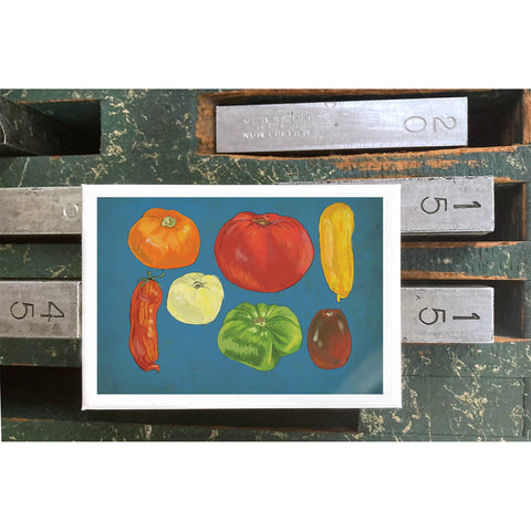 RFM-413 Tomatoes