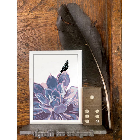 RBI-146 Phainopepla & Succulents