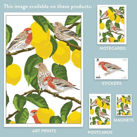 RBI-224 House Finches & Lemons