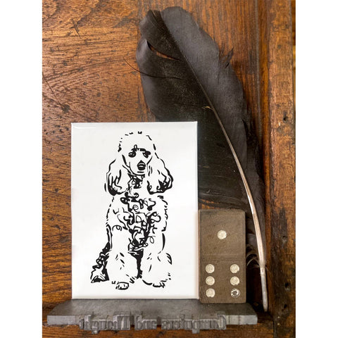 RAN-69 Poodle, White