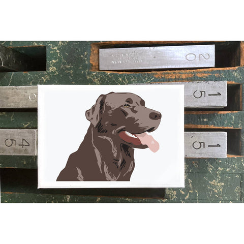 RAN-63 Labrador Retriver, Chocolate
