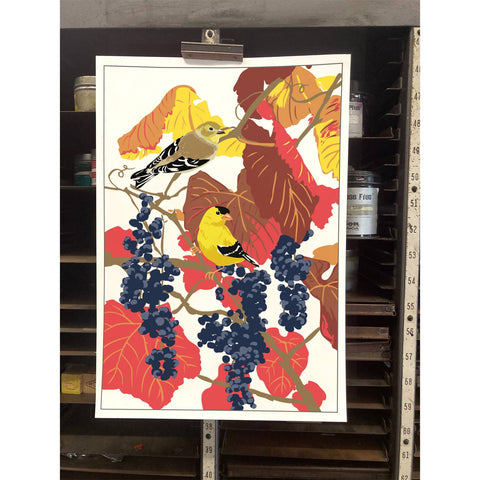 RBI-217 Goldfinch & Grape
