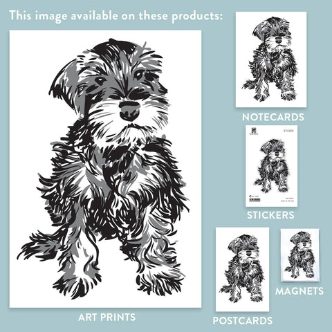RAN-66 Mini Schnauzer