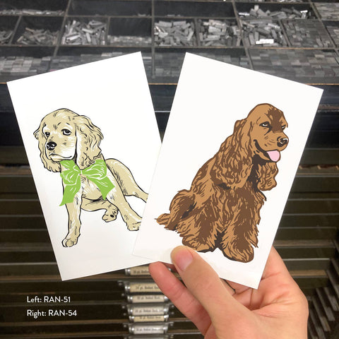 RAN-51 Cocker Spaniel Puppy with Bow
