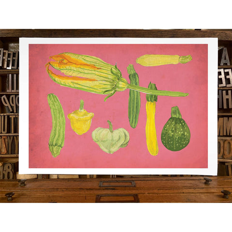 RFM-411 Summer Squash