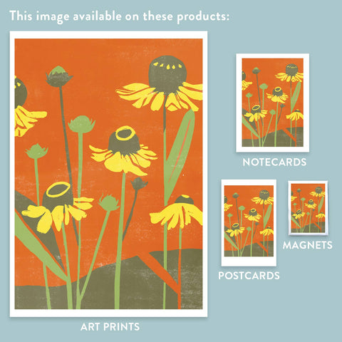 RFL-308 Asteraceae