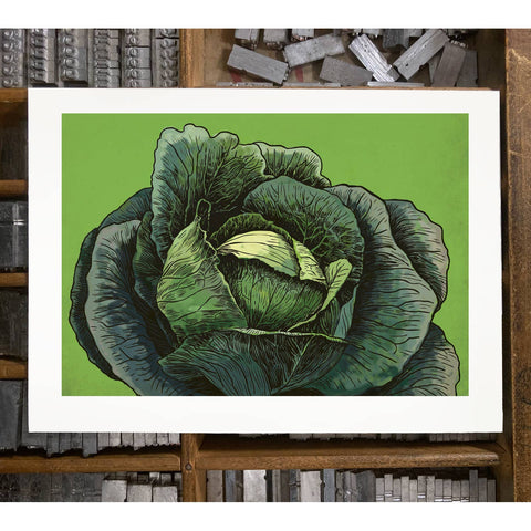 RFM-406 Cabbage