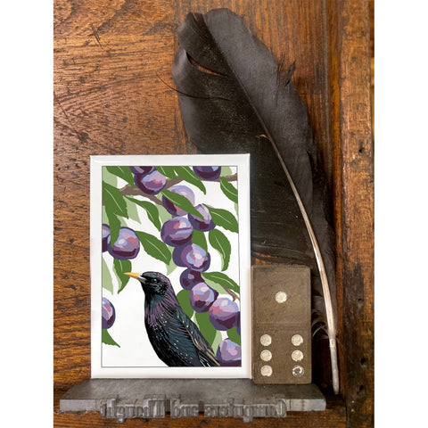 RBI-226 Starling & Plums