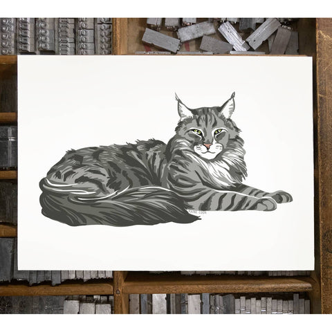 RAN-33 Maine Coon Cat