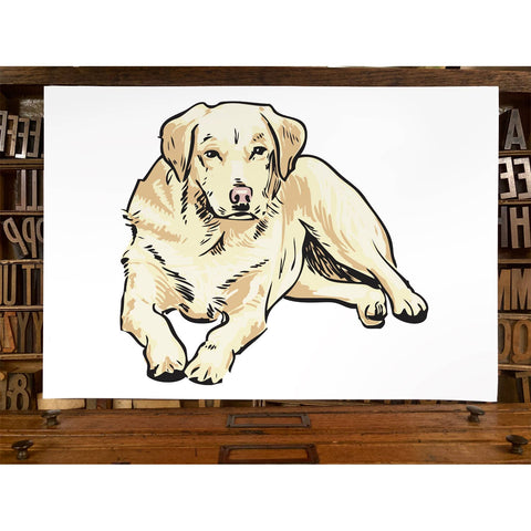 RAN-64 Labrador Retriever, Golden