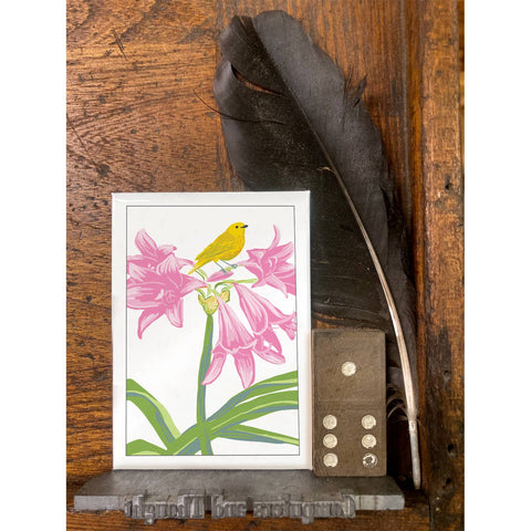 RBI-238 Yellow Warbler and Amaryllis