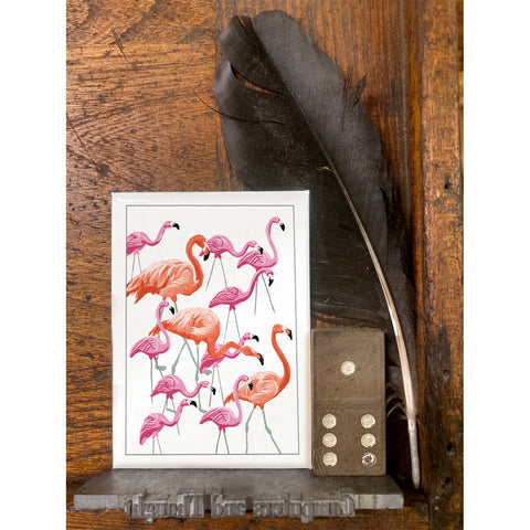RBI-215 Flamingos